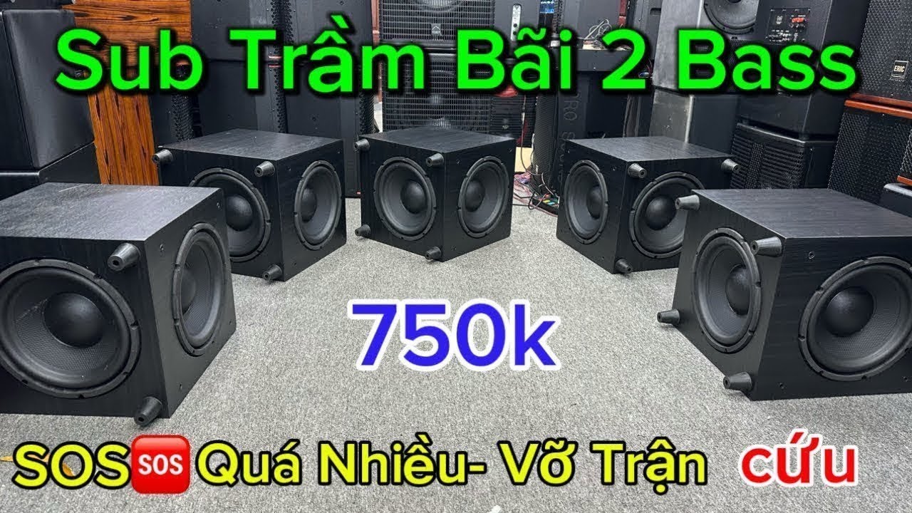 Thanh Lí Sập Cửa hàng Kho Sub Trầm Bãi 30 2 Bass Martin giá cực rẻ 750k 1/Cục Cứu LH:083.835.6665