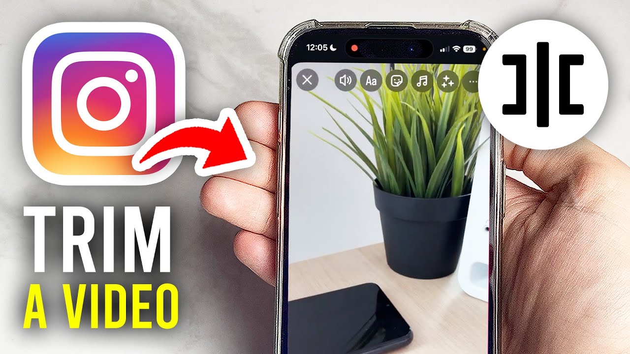 How To Trim Video For Instagram Story - Full Guide