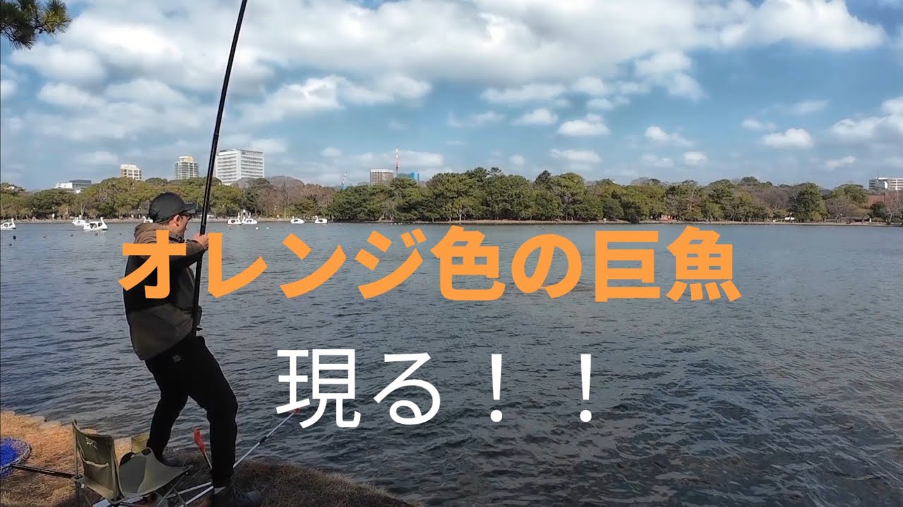 幻？の巨大カガミゴイを求めて