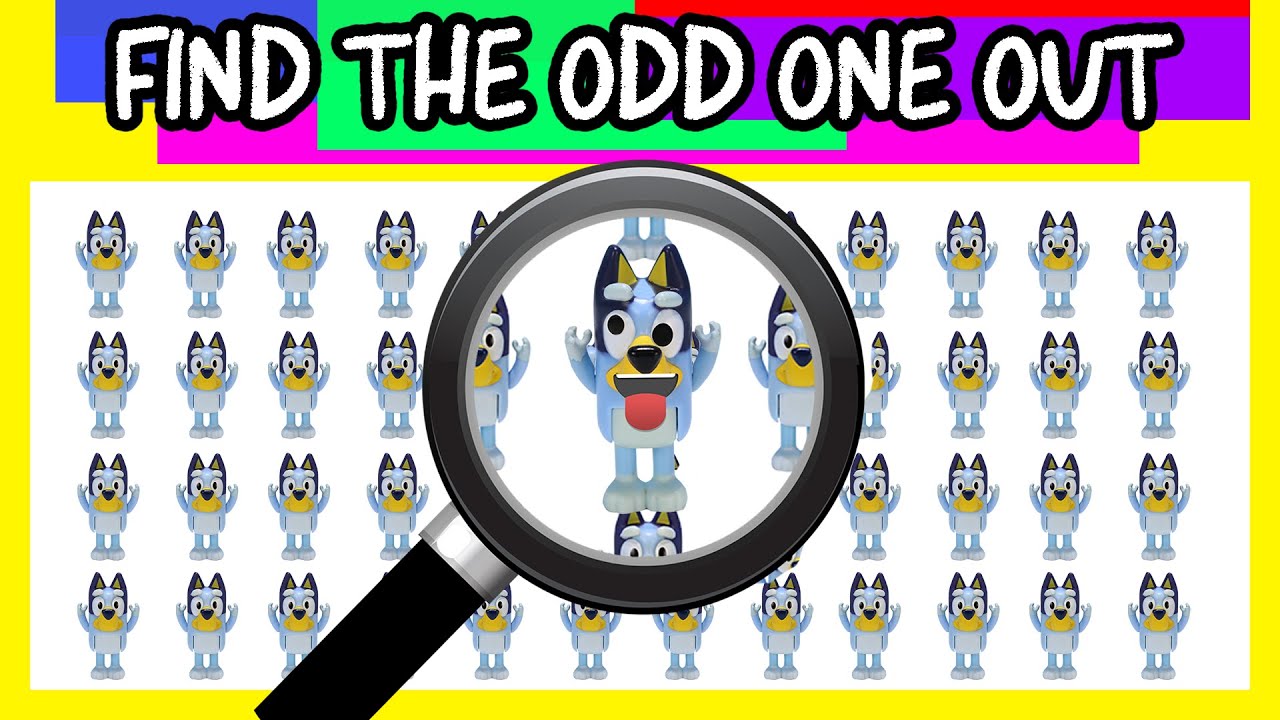 Bluey Character Quiz | Spot The Difference Bluey | Find The Odd Bluey Out | Bluey toys for Kids