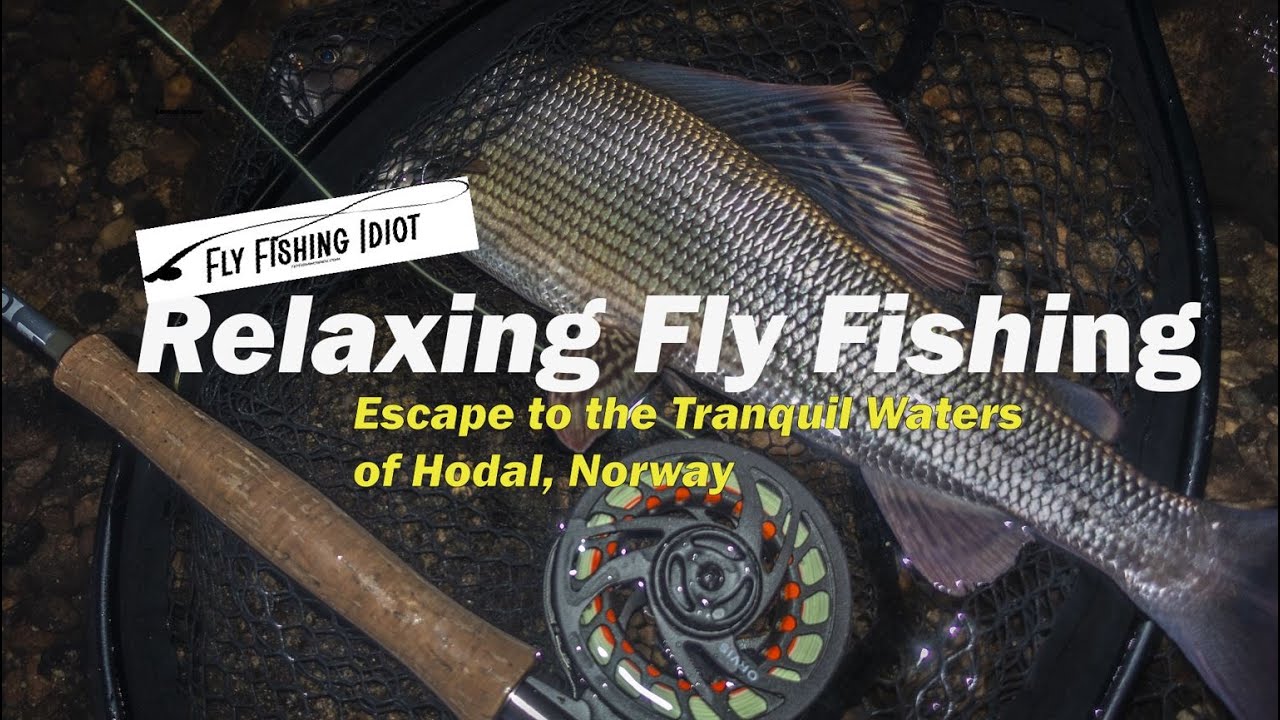 Relaxing Fly Fishing - Episode 2: Escape to the Tranquil Waters of Hodal, Norway