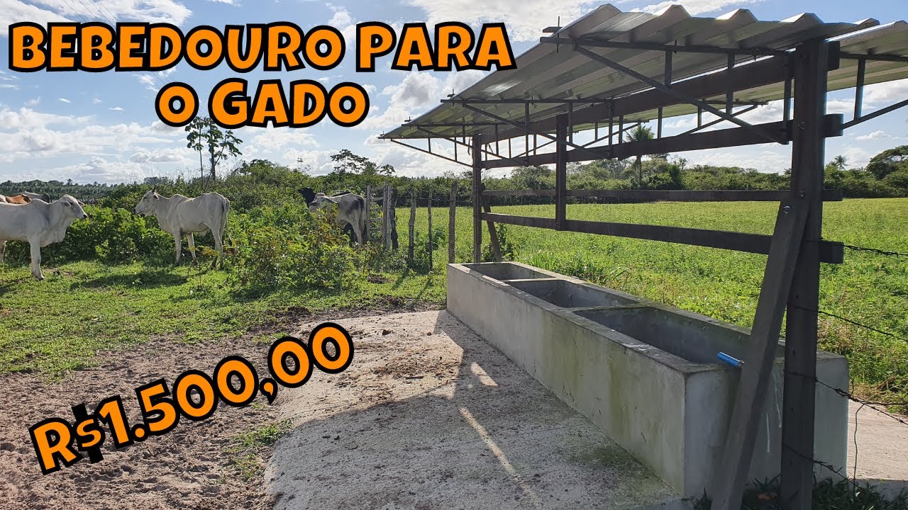 BEBEDOURO PARA O GADO - QUANTO CUSTOU? | Investidor Rural