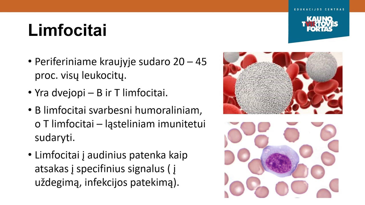 Biologija  Kraujas ir kraujo grupės