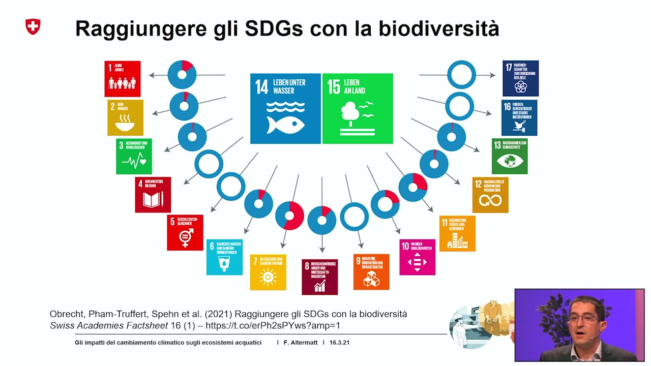 Vita acquatica in difficolt&agrave;: Gli impatti del cambiamento climatico sugli ecosistemi acquatici