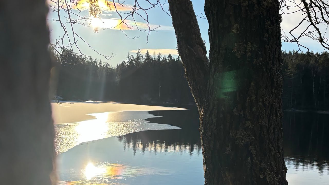 Dagstur i Østmarka med den første frosten