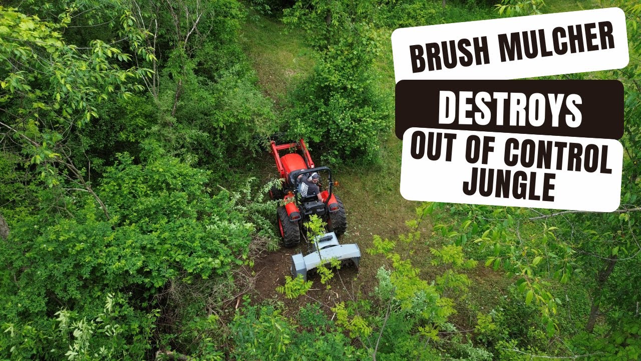 INSANE Brush Mulcher DESTROYS Overgrown Jungle