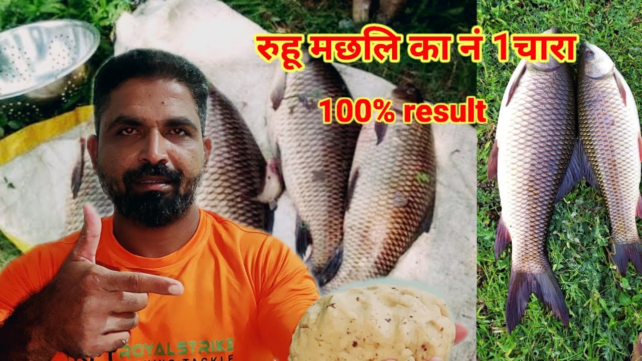 रुहु मछलि का नं 1 चारा🐟//ruhu fish bait 100% result, सस्ता ओर कारगर चारा