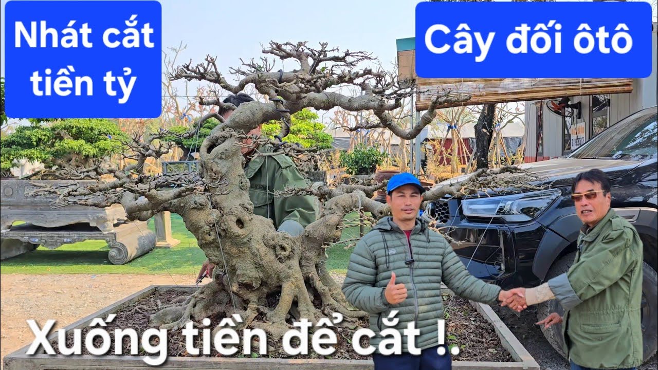 Nhát cắt tiền tỷ !.Chú Hòa Taxi kêu trời kêu đất 