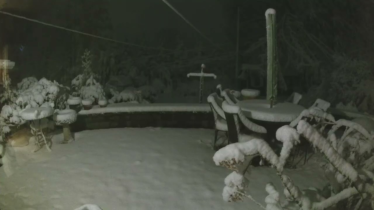Snowfall Timelapse