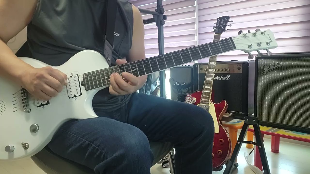 부초 같은 인생 ㅡ김용임