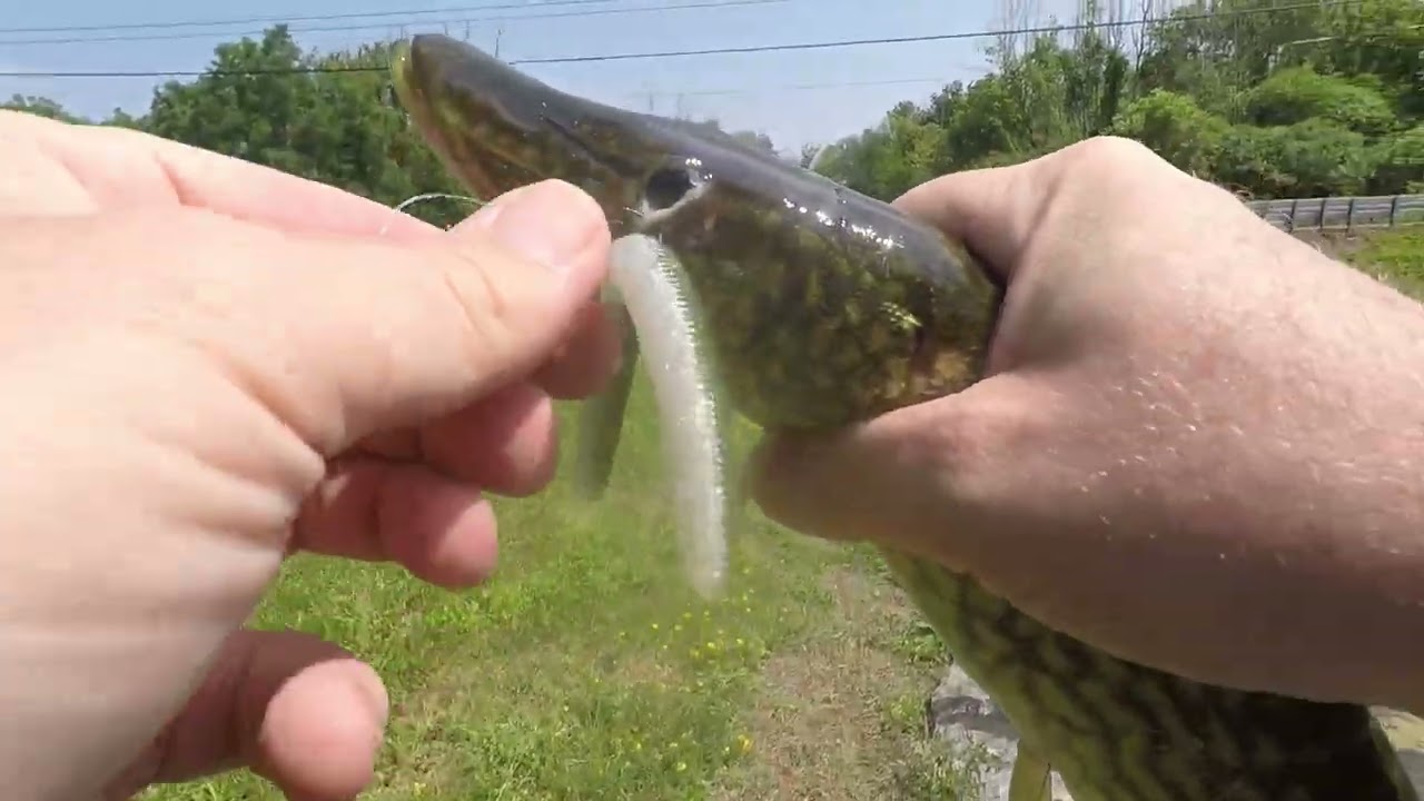 Dodging Storms and Catching Bass - Bank Fishing New York