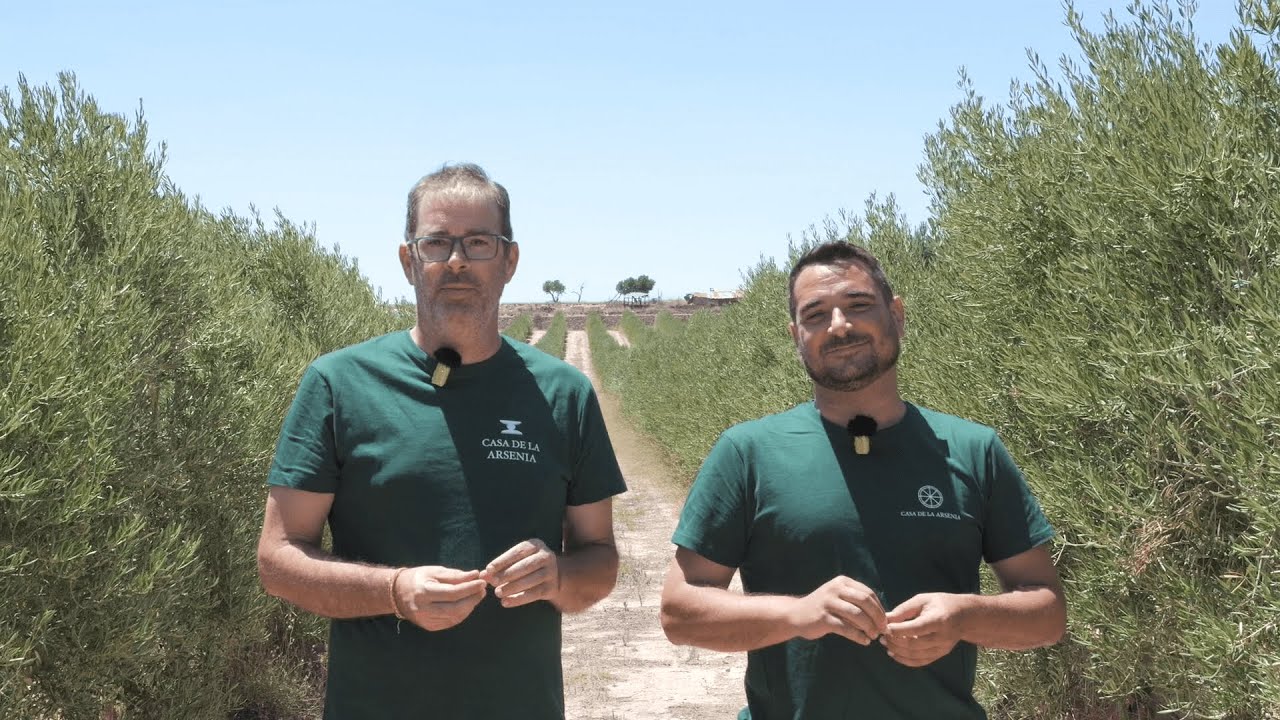 “Lecciana ha servido para mejorar todos nuestros aceites” Entrevista a Antonio López y Pedro Sarrión
