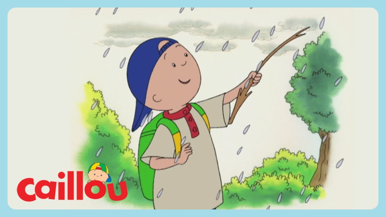 Caillou - Il picnic di Caillou | Cartoni animati per bambini piccoli | WildBrain Italiano