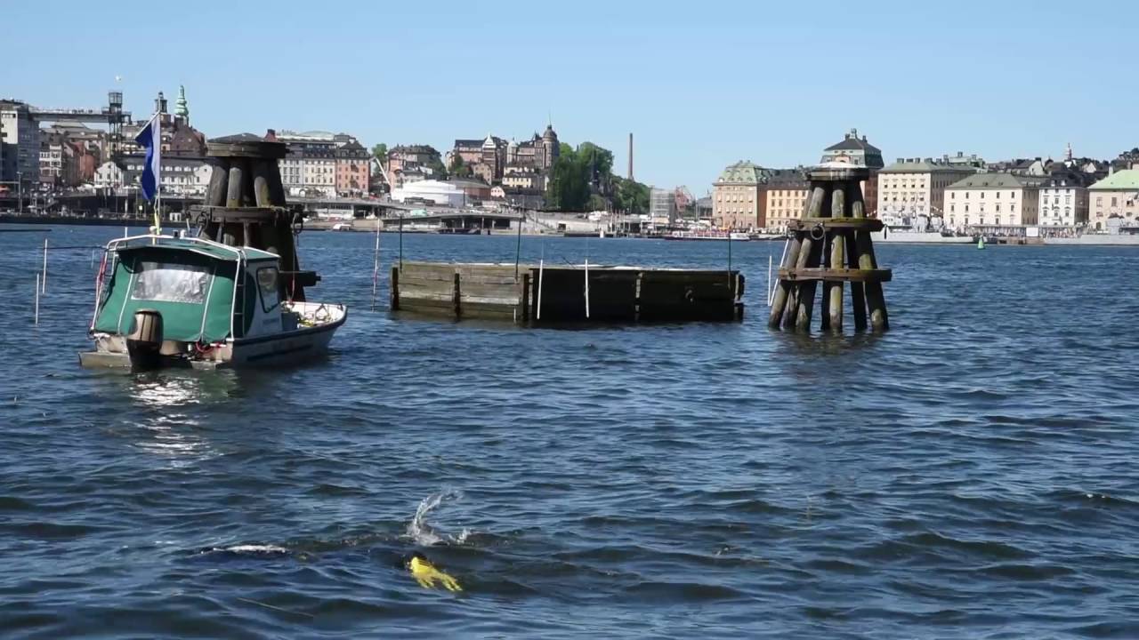 En vrakkyrkogård mitt i Stockholm