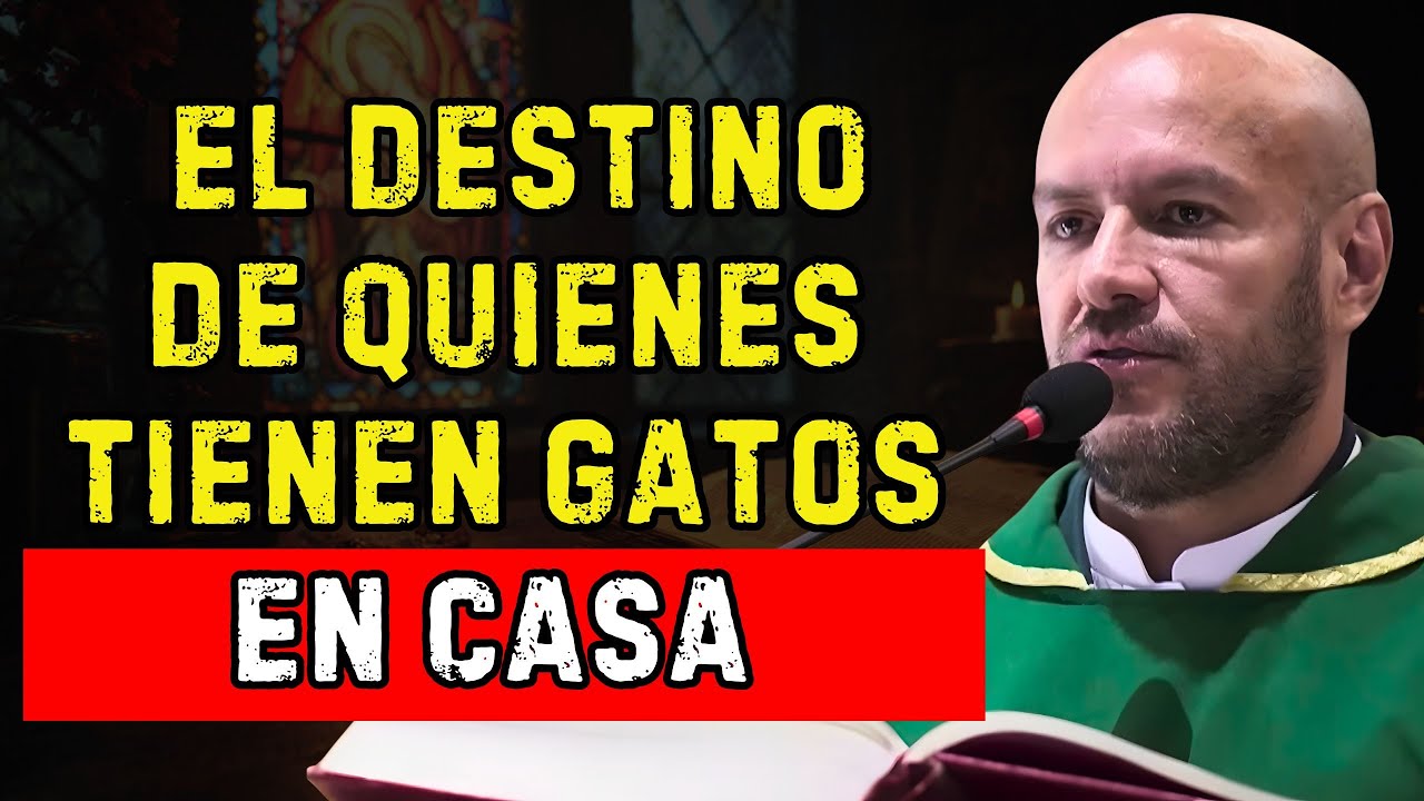 EL DESTINO DE QUIENES TIENEN GATOS EN CASA | Padre Freddy Bustamante