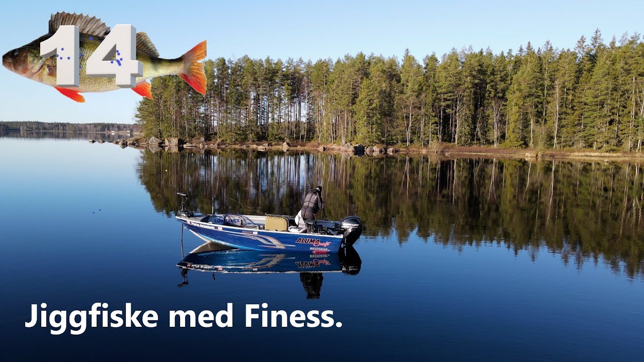 Abborre på jiggfiske