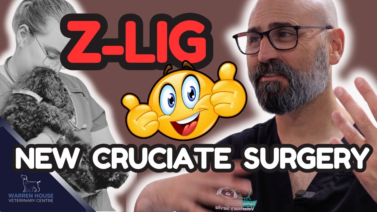 Dog Knee Surgery: Zlig is a Game Changer!