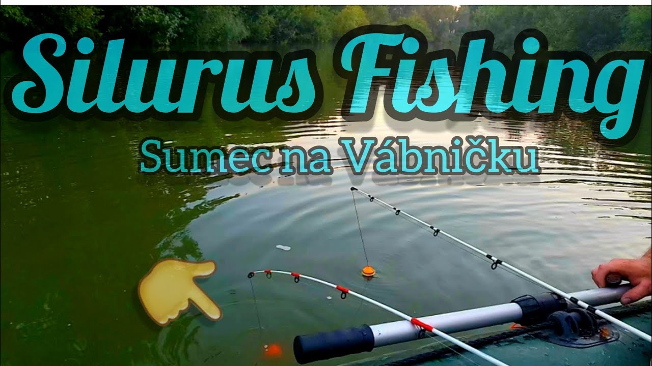 Silurus Fishing-Sumec na vábničku -vábnička JP -CatFishing
