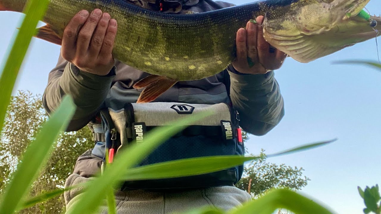 Видеообзор пояса Rapala CountDown для интернет-магазина «fMagazin»