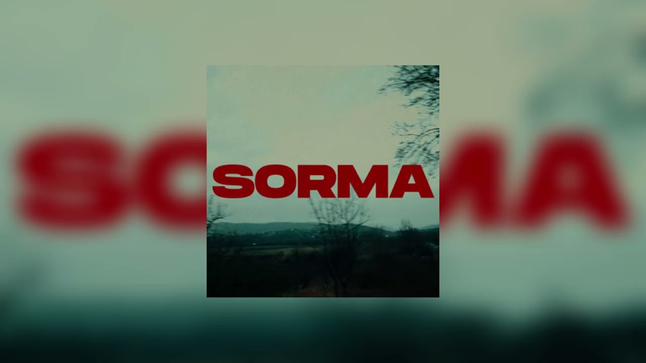 ERAY067 & MANSUR feat. ORGANİZE - SORMA (İnstrumental)