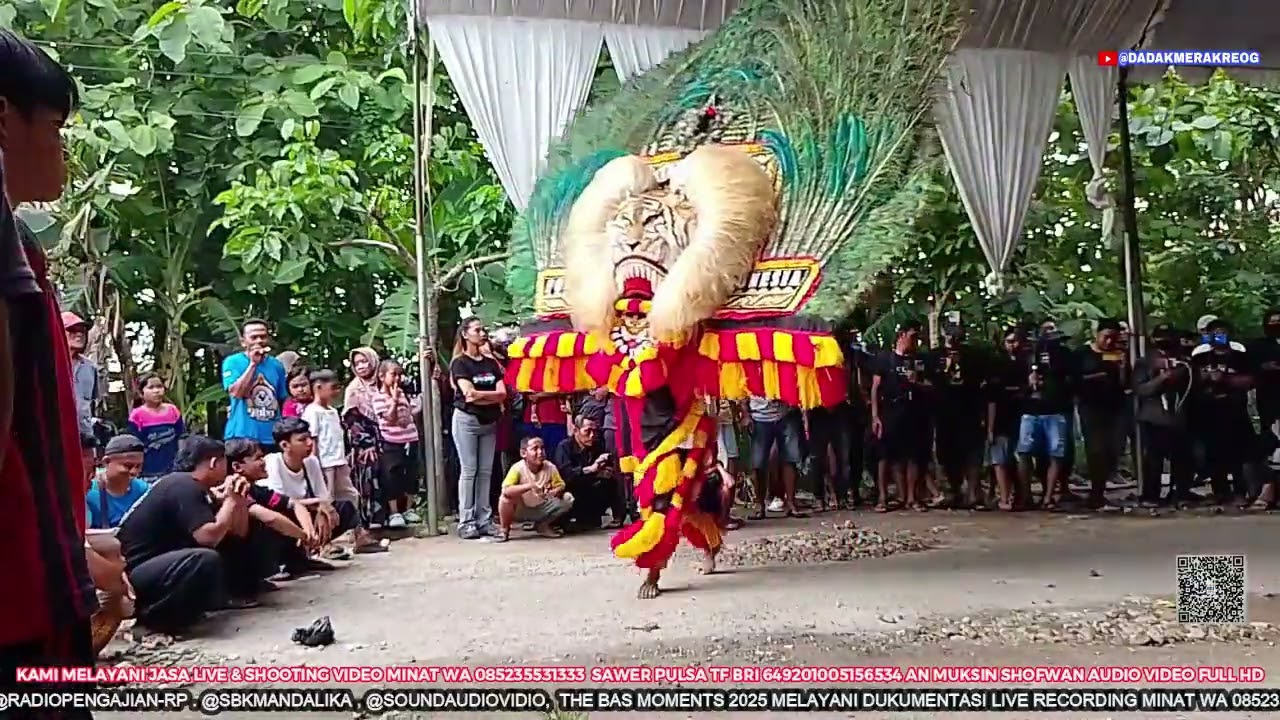 AYAR DADAK MERAK AUDIO EDIT PANJI SINGO MANGGOLO LIVE RUMAH PAK SAMBONG DEPAN BALAI DESA GELANGLOR S