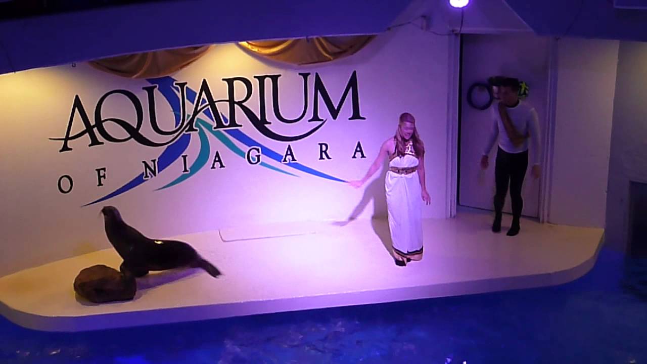Once Upon a Tide: Aquarium of Niagara