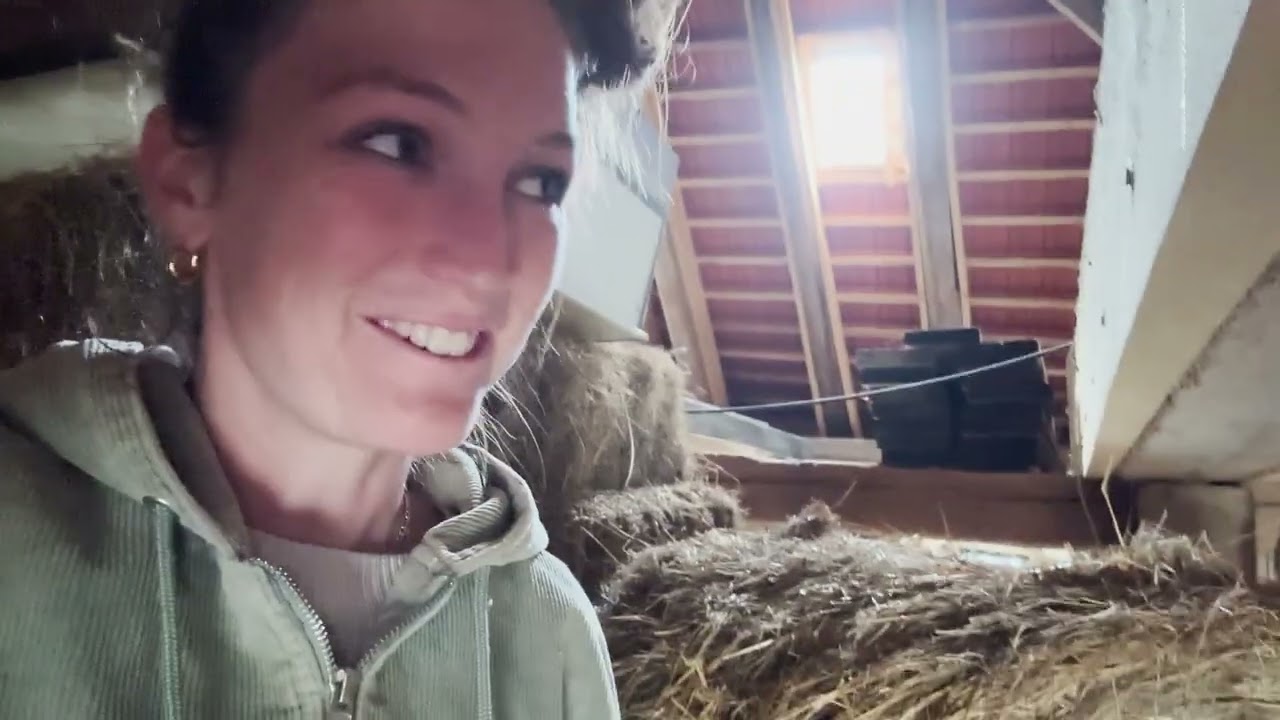 Zwischen Pannen und Erntesegen. Leben als Selbstversorger im Herbst. Vlog September 