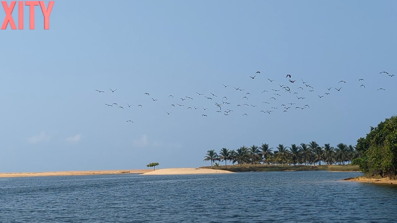 EPISODE 37: BEAUTY OF LIBERIA - HOW WE CAN PROTECT IT