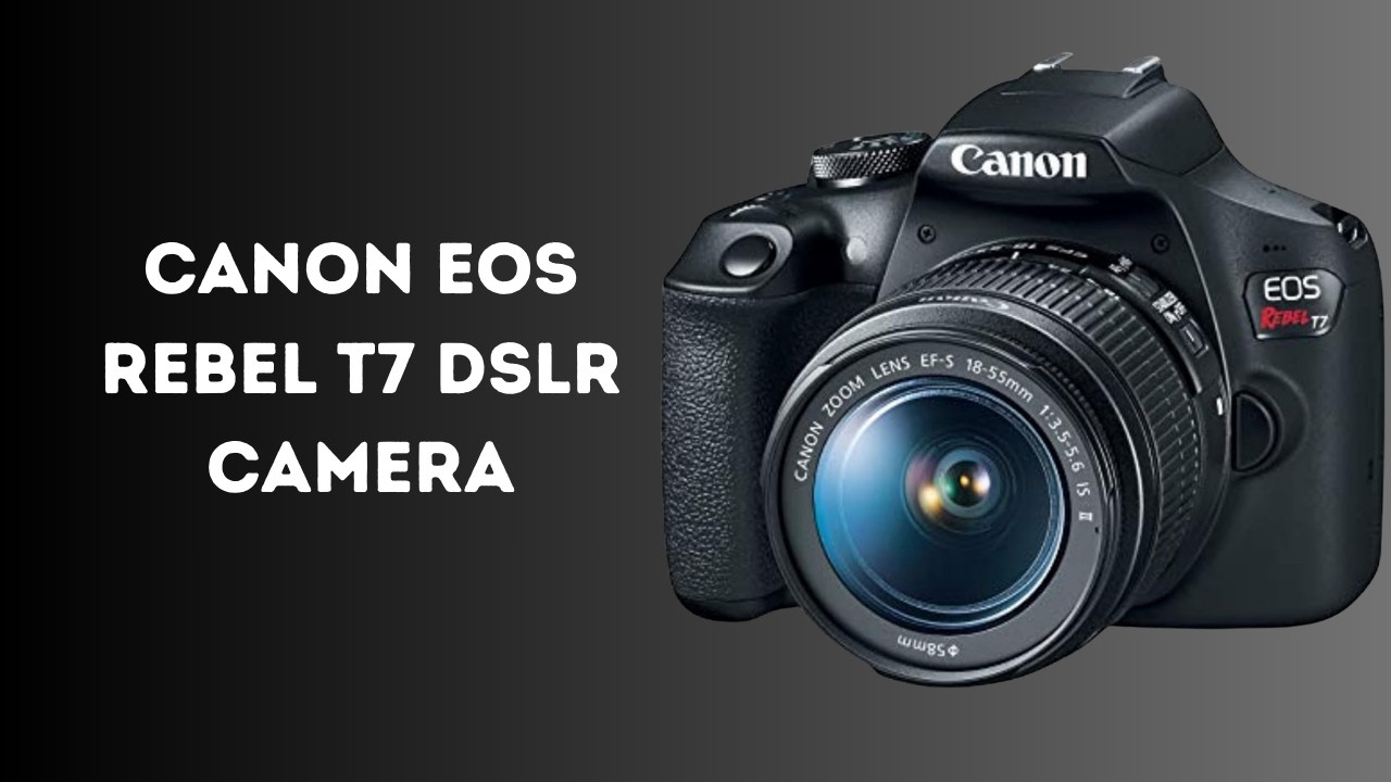 Canon EOS Rebel T7 Review – 24.1MP DSLR with WiFi & Full HD Video | Canon