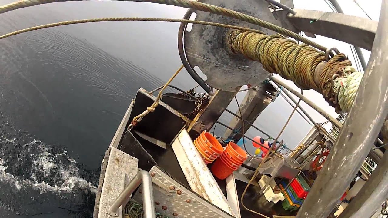 Trawling  - Hauling the net