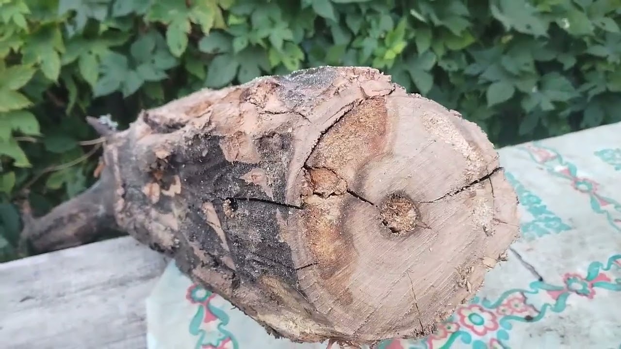 Рецепт домашнего коньяка 💯👍