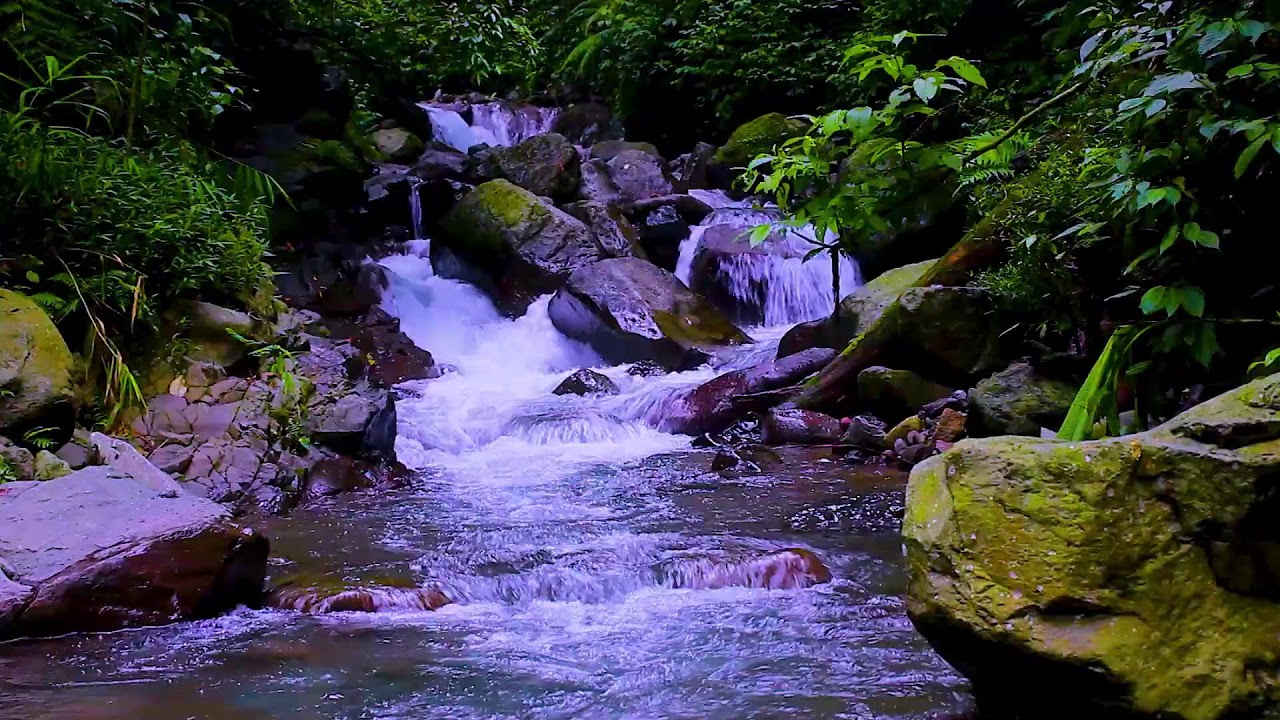 Mountain Stream for Insomnia Relief | Relaxing Forest Water White Noise