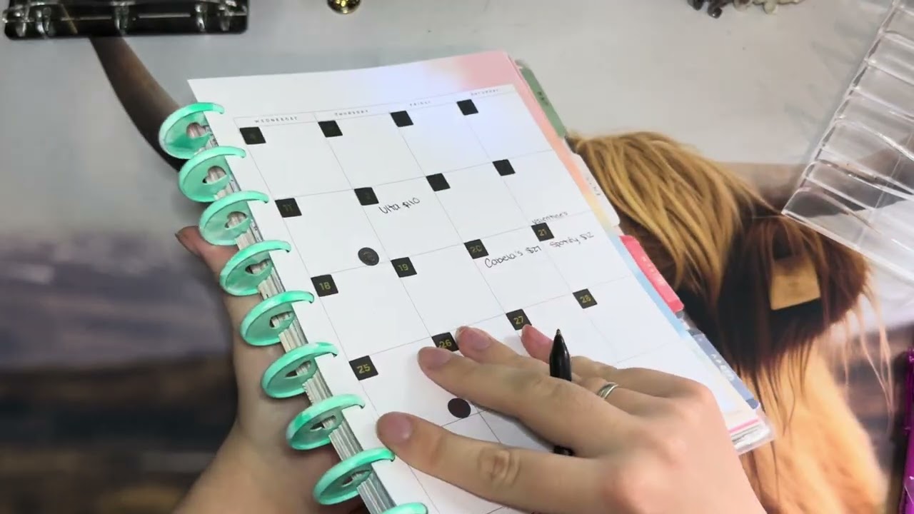 Budget with Me and Planner Set Up for February 