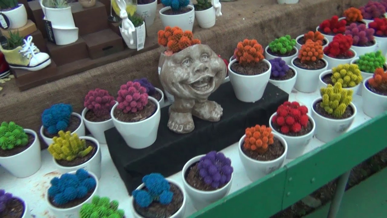 Kraynak Garden Store Spring Tour 2018
