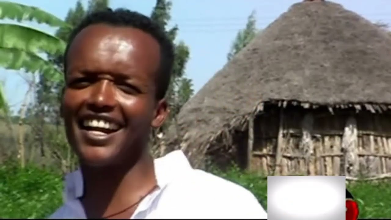 አረጋሀኝ ፍቃዱ::