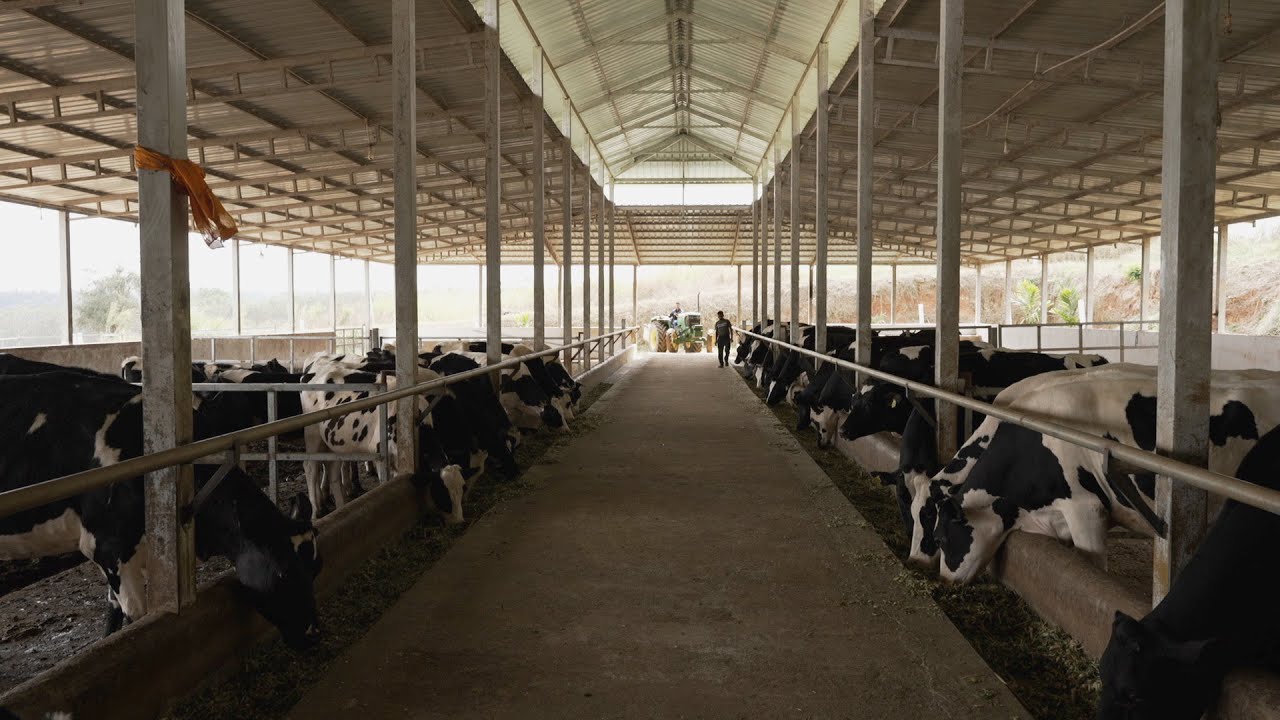In Conversation with Rithar Tsering, Founder of Mama Cow  Dairy Farm