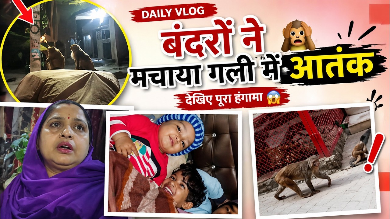 बंदरो ने मचाया गली में आतंक।