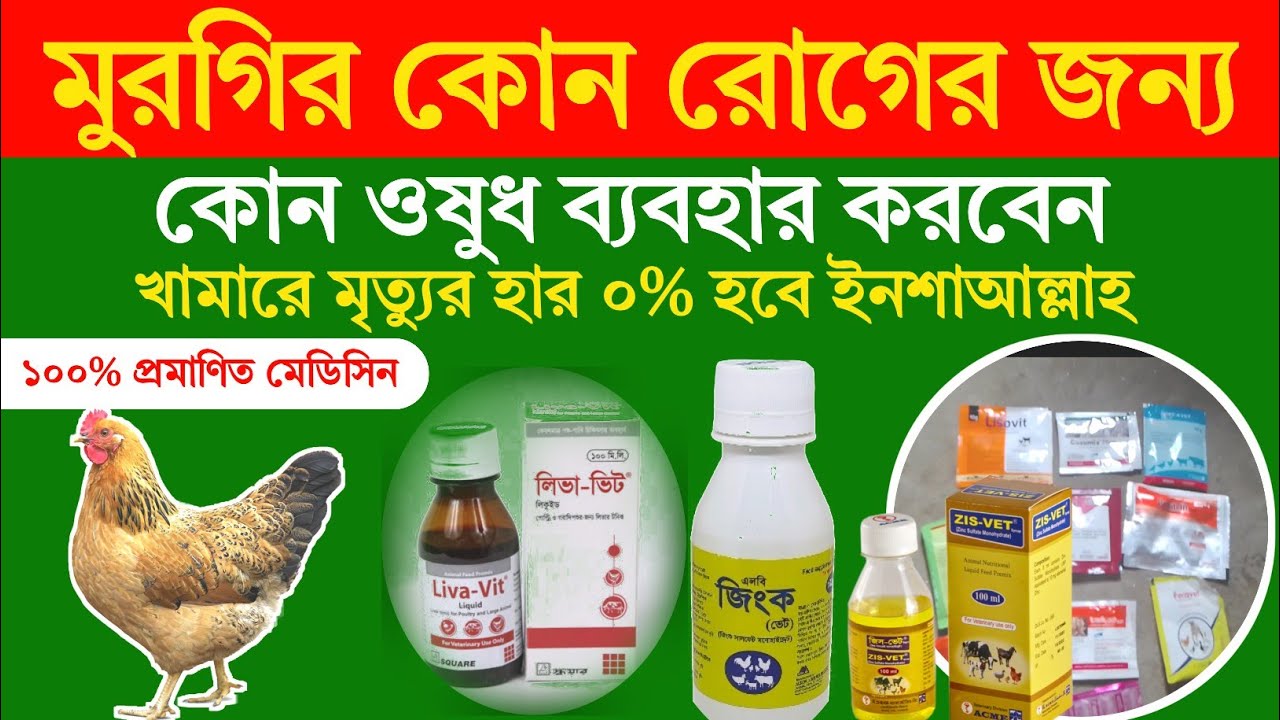 মুরগির কোন রোগের জন্য কোন ওষুধ ব্যবহার করবেন। মুরগির সব রোগের চিকিৎসা। ইনশাআল্লাহ মৃ*ত্যুর হার ০%