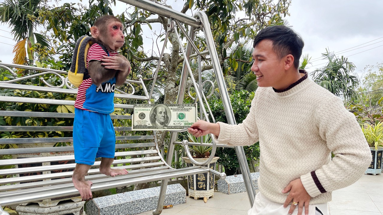 Cubis Politely Asks Dad for Money to Go to a Caf&eacute;! 😆☕