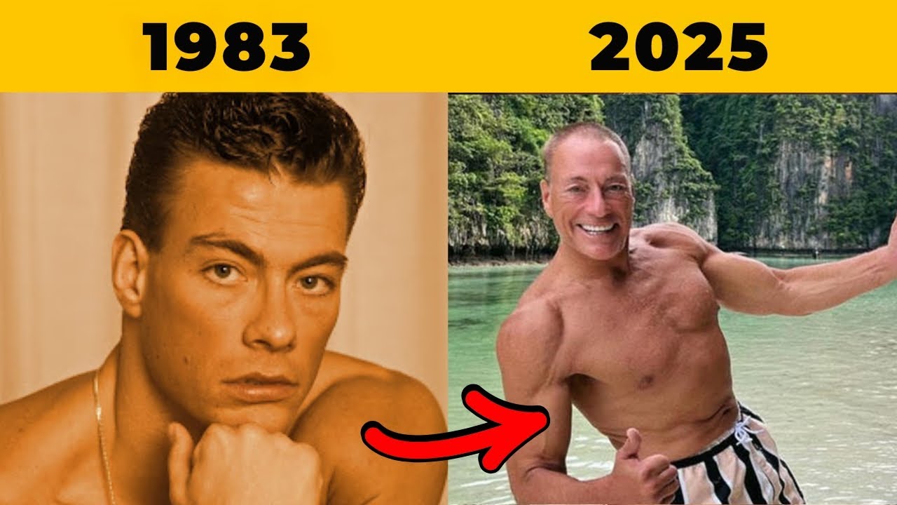 60+ Most Iconic Action Stars in Hollywood | Then and Now