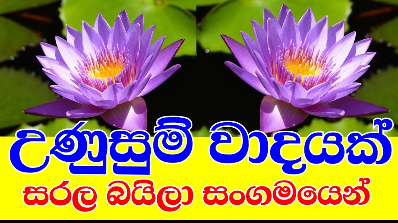 Wada Baila | වාද බයිලා | Pradeep Krishantha | Wasantha Madurawala | Prasanna 