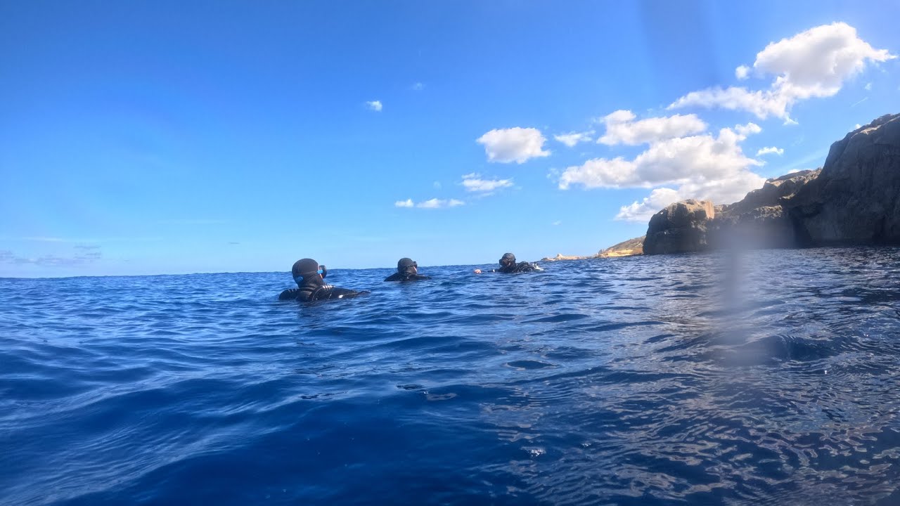 Gozo Diving 2024