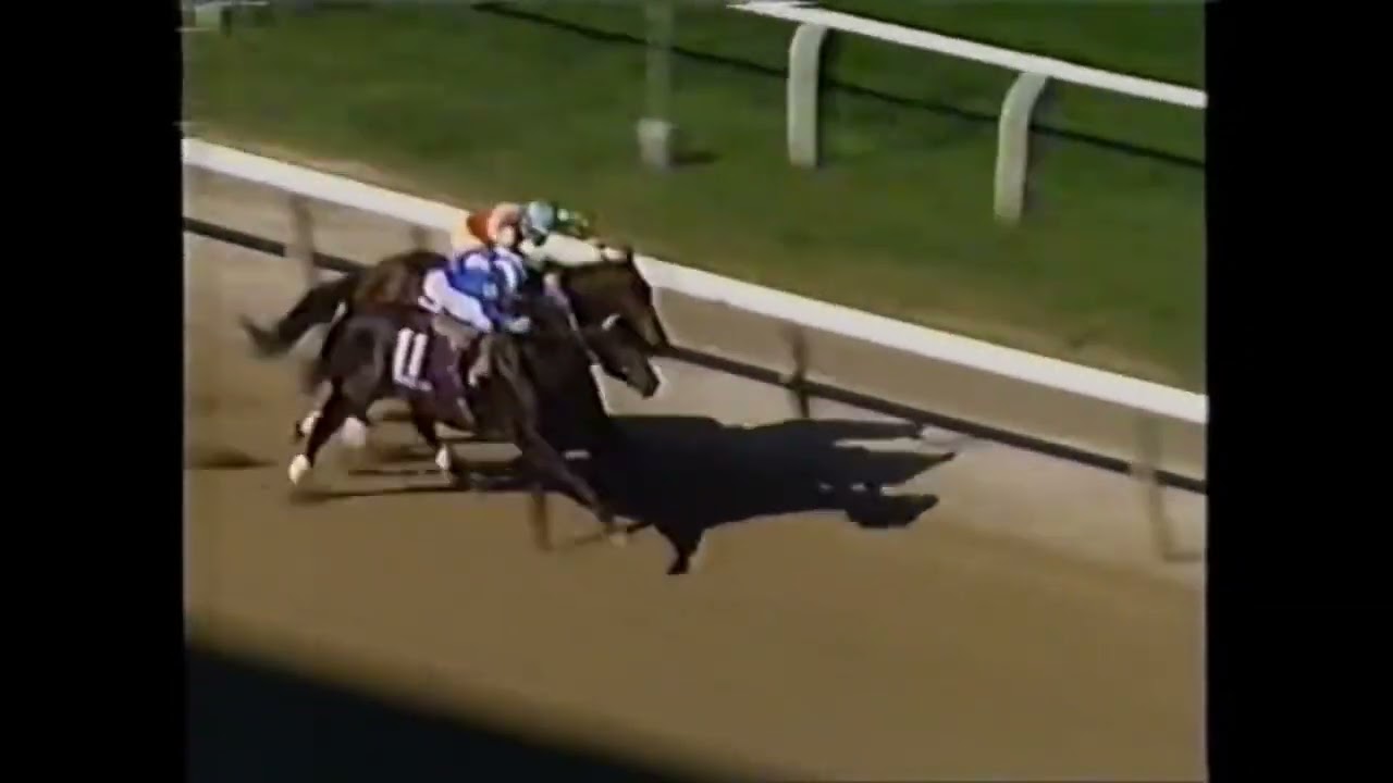 Dayjur and Willie Carson lose the 1990 Breeders Cup Sprint in The Shadows of the post.Racing Legends
