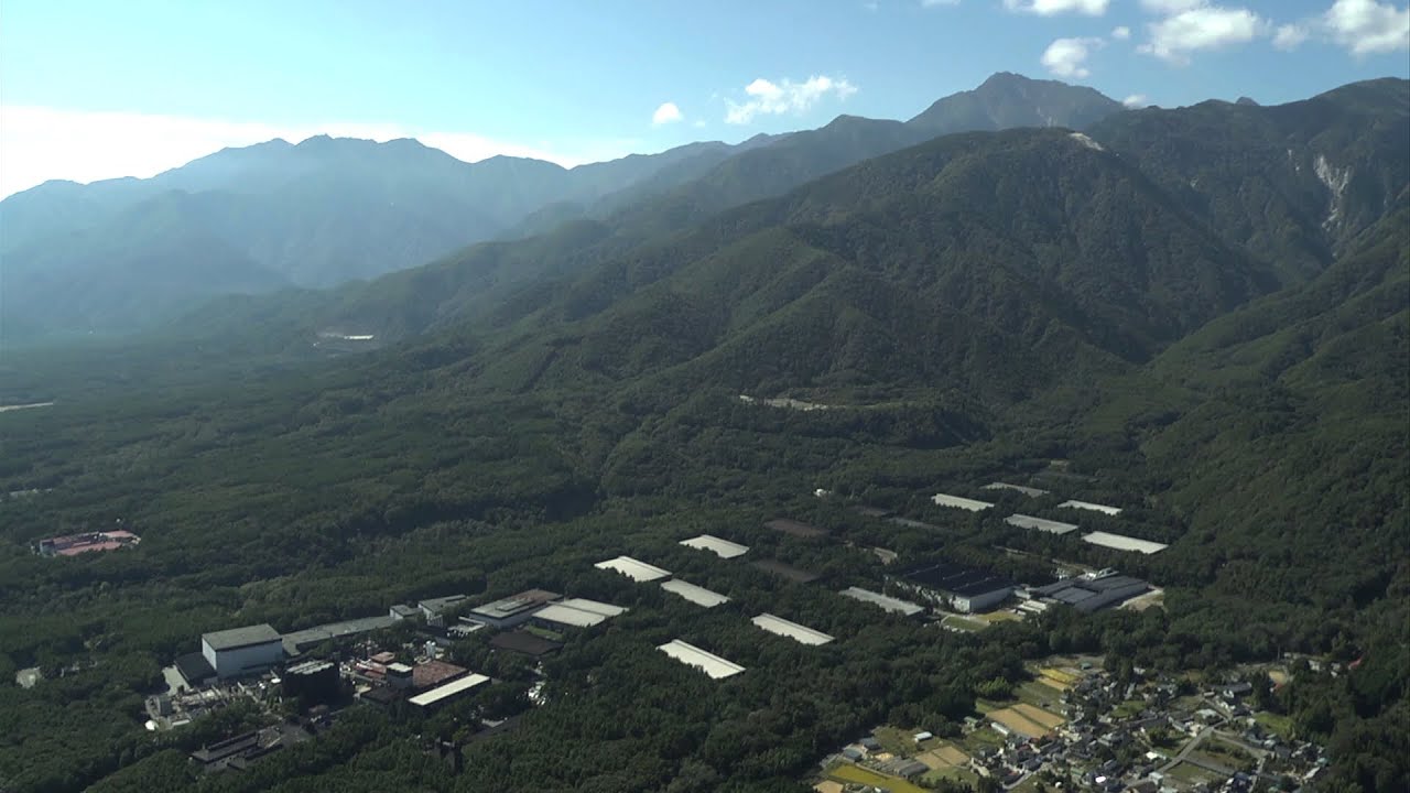 サントリーシングルモルトウイスキー白州『森香るウイスキー　白州蒸溜所を訪ねて』 5分1秒