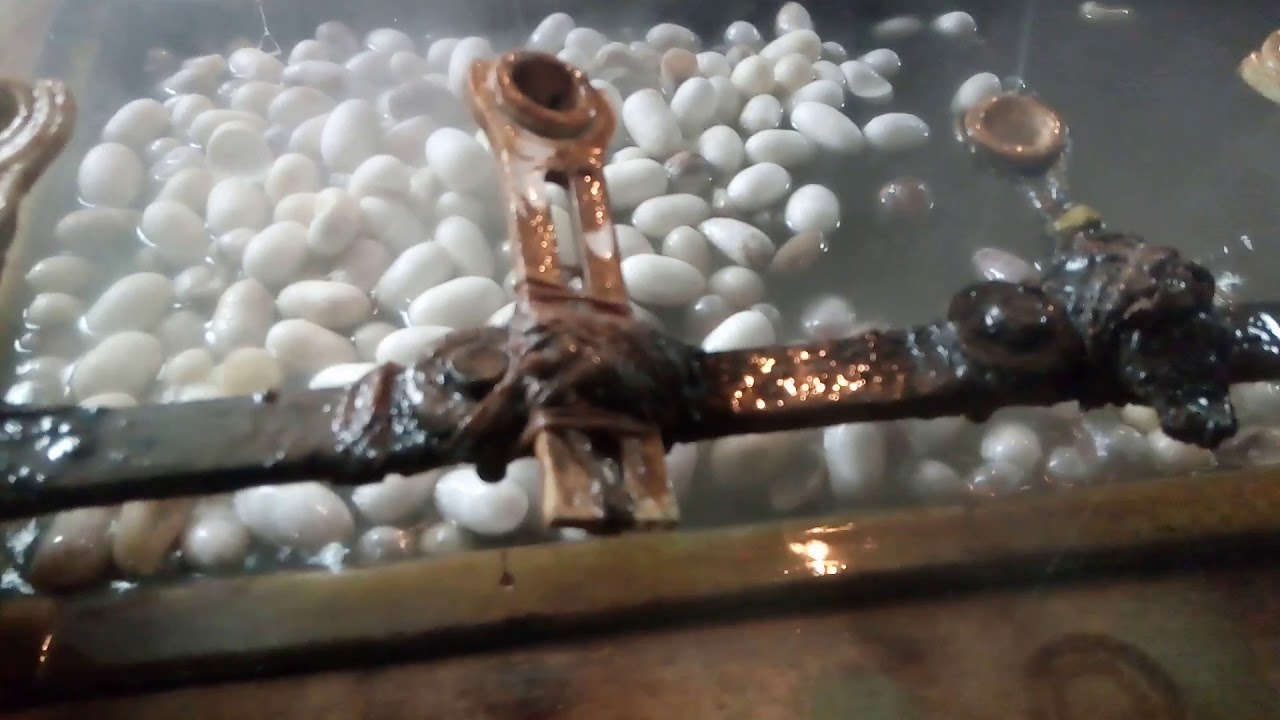 Raw silk production from cocoons(students video)