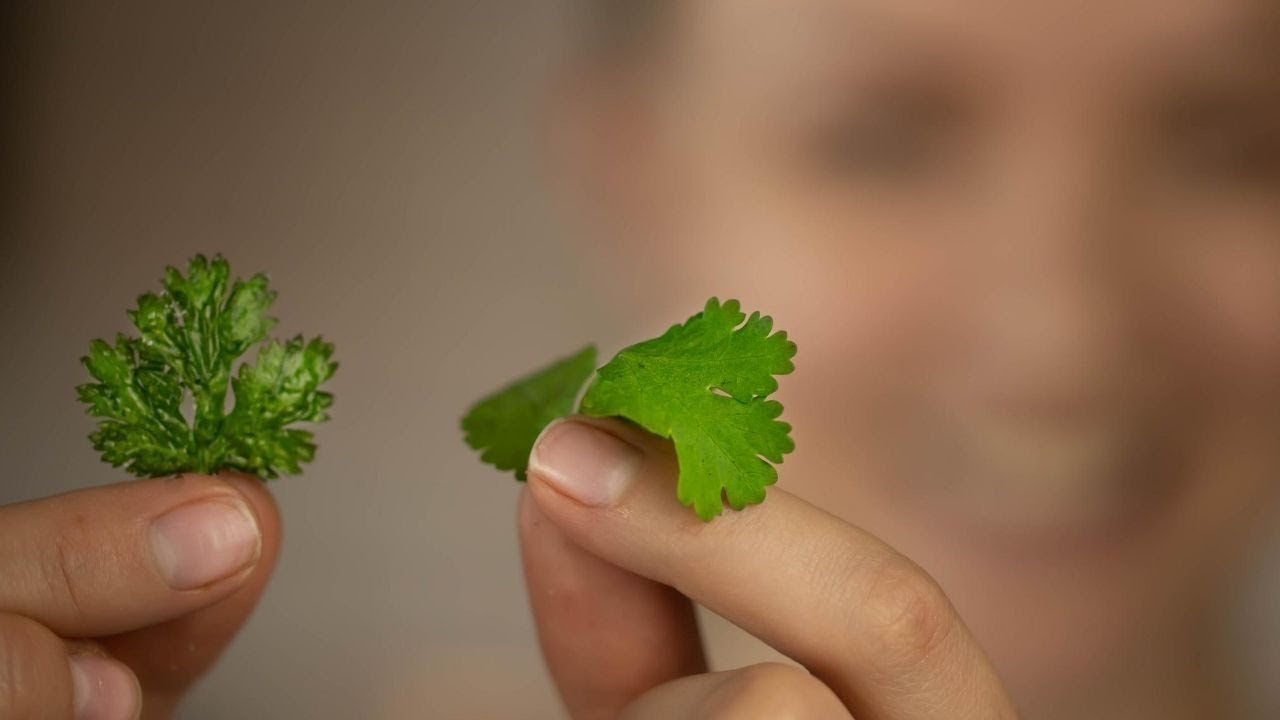 4 minute garnish idea (flat fried LEAFY HERBS)