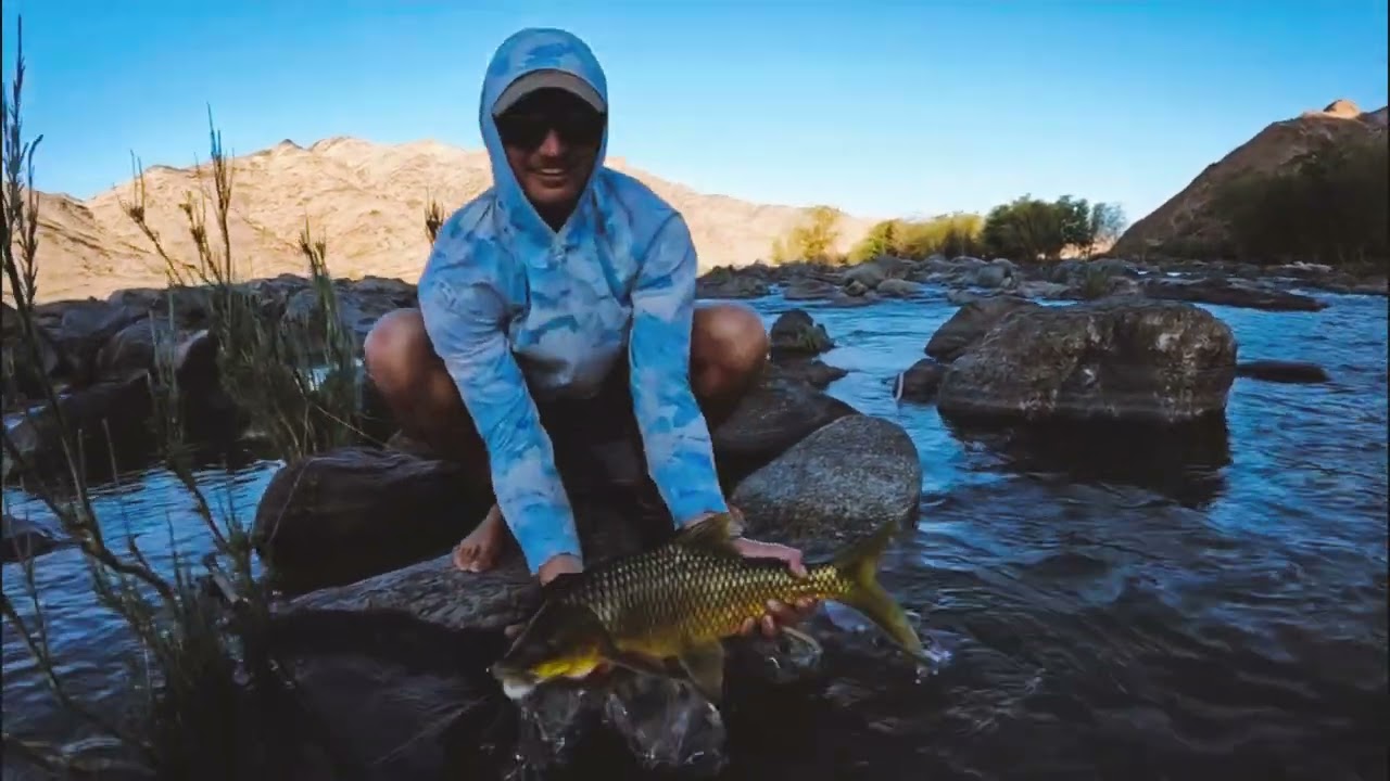 Fly Fishing in the Orange River (X-Factor Angling)