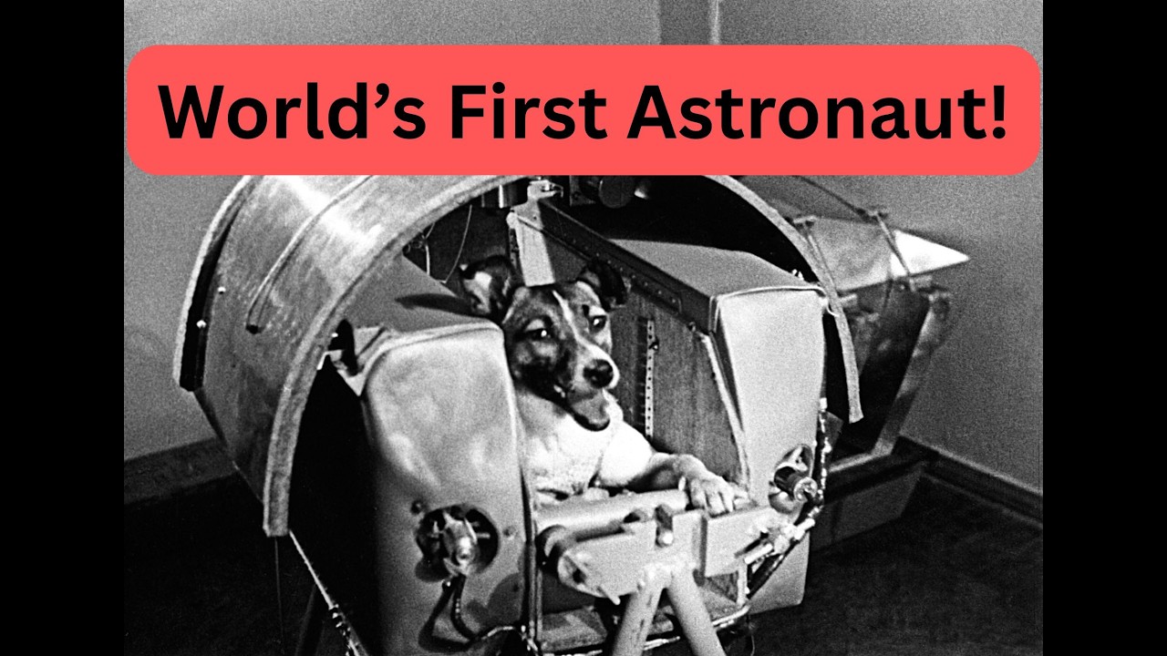 Laika: The Dog Who Touched the Stars But Never Came Home