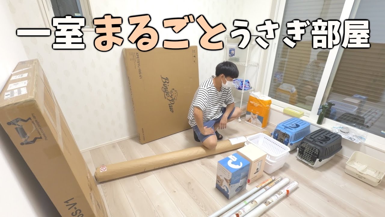 ケージなし！うさぎの放し飼い部屋を作りました【うさぎのコッペ】
