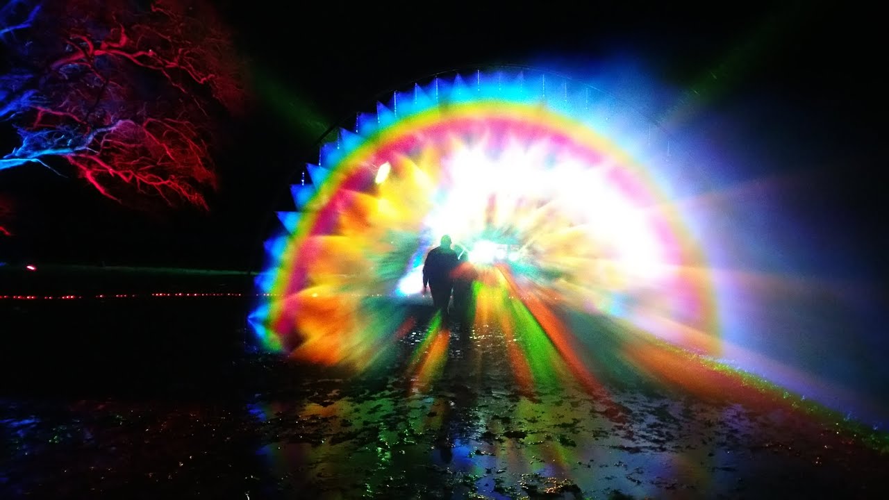 wiston rainbow showreel smoother